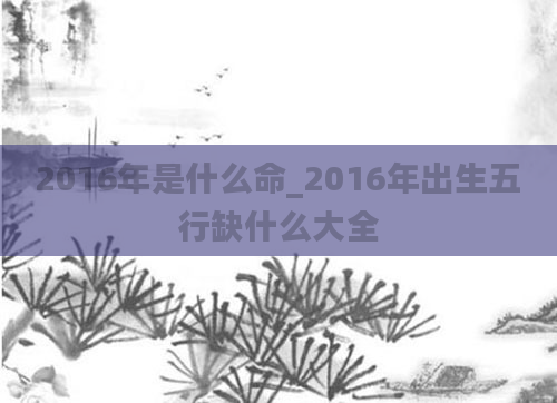 2016年是什么命_2016年出生五行缺什么大全