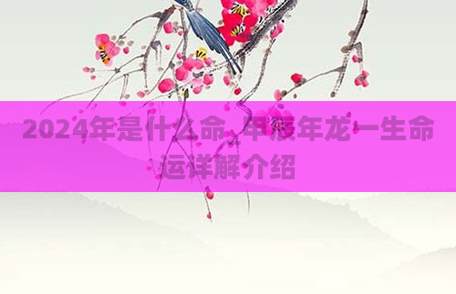 2024年是什么命_甲辰年龙一生命运详解介绍