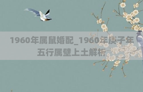 1960年属鼠婚配_1960年庚子年五行属壁上土解析