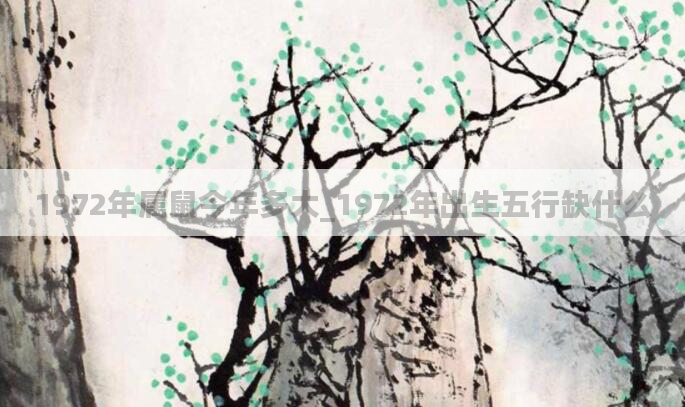 1972年属鼠今年多大_1972年出生五行缺什么