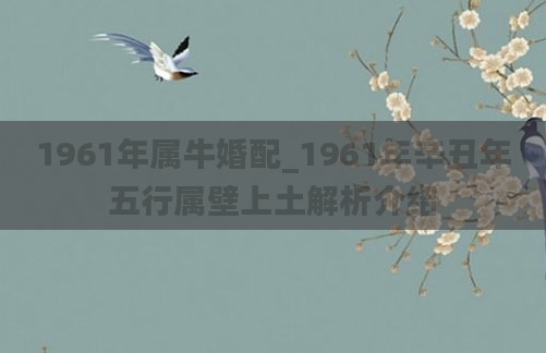 1961年属牛婚配_1961年辛丑年五行属壁上土解析介绍