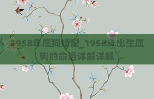 1958年属狗婚配_1958年出生属狗的命运详解详解