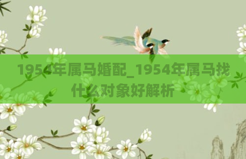 1954年属马婚配_1954年属马找什么对象好解析