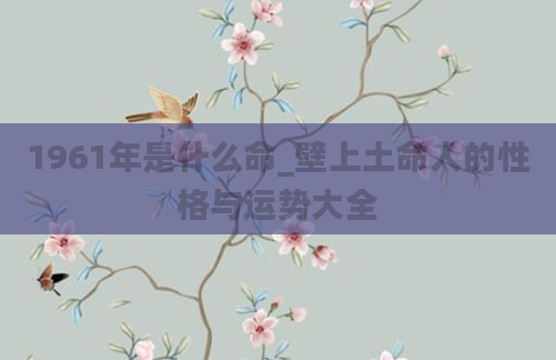 1961年是什么命_壁上土命人的性格与运势大全