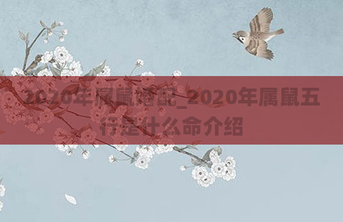 2020年属鼠婚配_2020年属鼠五行是什么命介绍