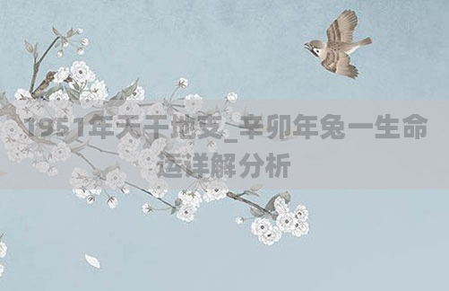 1951年天干地支_辛卯年兔一生命运详解分析
