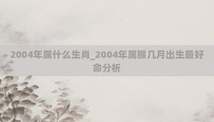 2004年属什么生肖_2004年属猴几月出生最好命分析