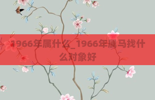 1966年属什么_1966年属马找什么对象好
