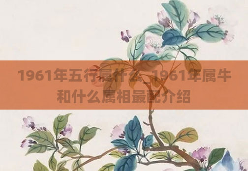 1961年五行属什么_1961年属牛和什么属相最配介绍