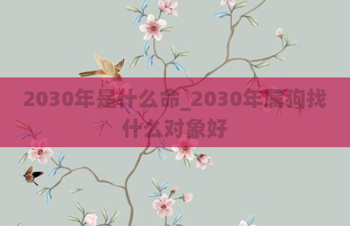 2030年是什么命_2030年属狗找什么对象好