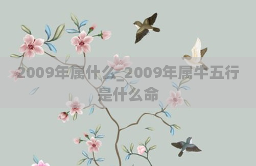 2009年属什么_2009年属牛五行是什么命