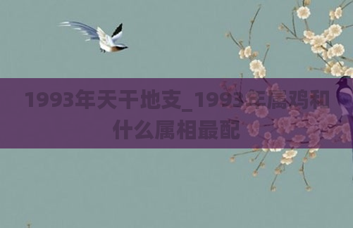 1993年天干地支_1993年属鸡和什么属相最配