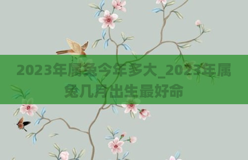 2023年属兔今年多大_2023年属兔几月出生最好命
