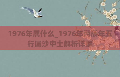 1976年属什么_1976年丙辰年五行属沙中土解析详解