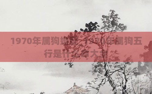 1970年属狗婚配_1970年属狗五行是什么命大全