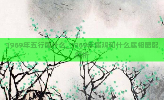 1969年五行属什么_1969年属鸡和什么属相最配解析