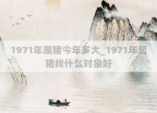 1971年属猪今年多大_1971年属猪找什么对象好