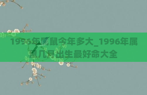 1996年属鼠今年多大_1996年属鼠几月出生最好命大全