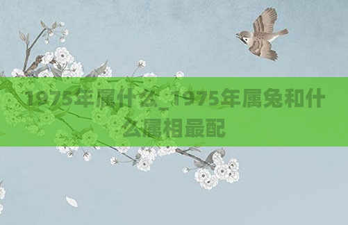 1975年属什么_1975年属兔和什么属相最配