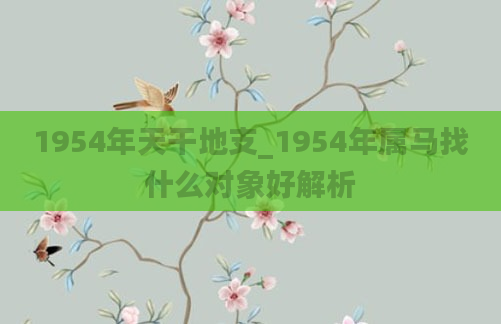 1954年天干地支_1954年属马找什么对象好解析