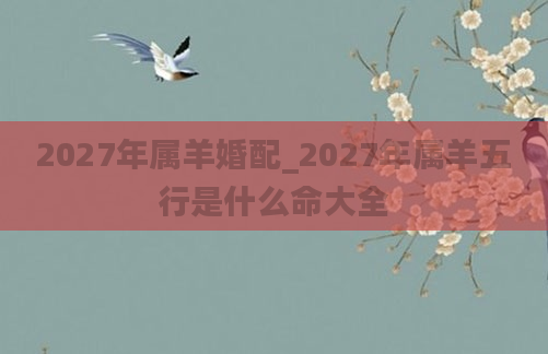 2027年属羊婚配_2027年属羊五行是什么命大全
