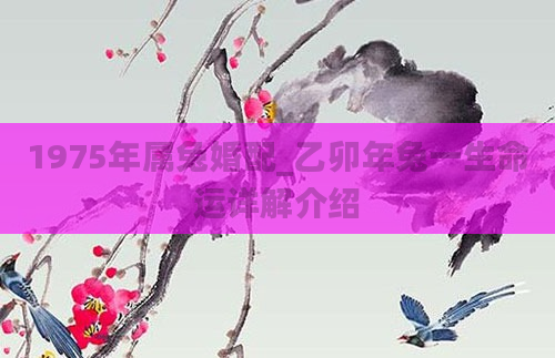 1975年属兔婚配_乙卯年兔一生命运详解介绍