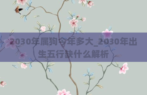 2030年属狗今年多大_2030年出生五行缺什么解析