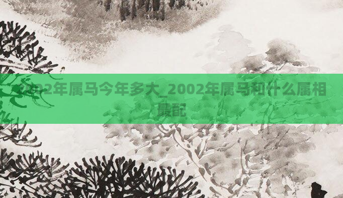 2002年属马今年多大_2002年属马和什么属相最配