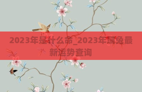 2023年是什么命_2023年属兔最新运势查询