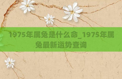 1975年属兔是什么命_1975年属兔最新运势查询
