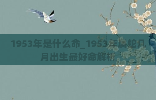 1953年是什么命_1953年属蛇几月出生最好命解析