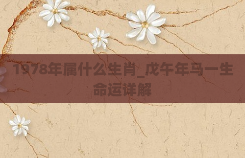 1978年属什么生肖_戊午年马一生命运详解