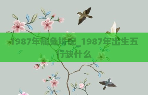 1987年属兔婚配_1987年出生五行缺什么