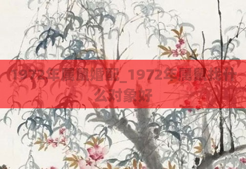 1972年属鼠婚配_1972年属鼠找什么对象好