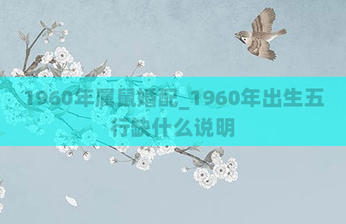 1960年属鼠婚配_1960年出生五行缺什么说明