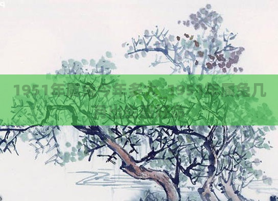 1951年属兔今年多大_1951年属兔几月出生最好命