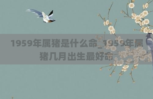 1959年属猪是什么命_1959年属猪几月出生最好命