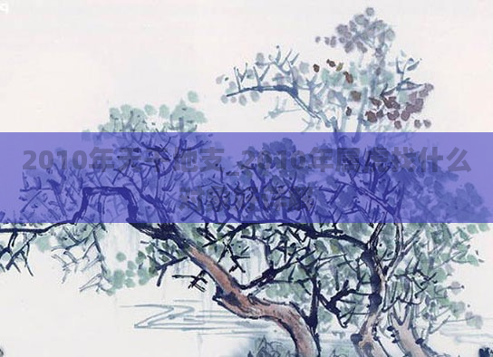 2010年天干地支_2010年属虎找什么对象好详解