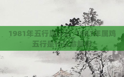 1981年五行属什么_1981年属鸡五行是什么命解析