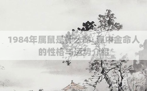 1984年属鼠是什么命_海中金命人的性格与运势介绍