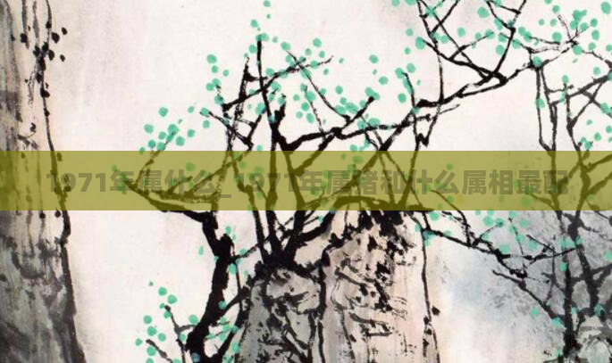 1971年属什么_1971年属猪和什么属相最配