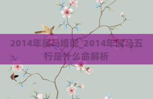 2014年属马婚配_2014年属马五行是什么命解析