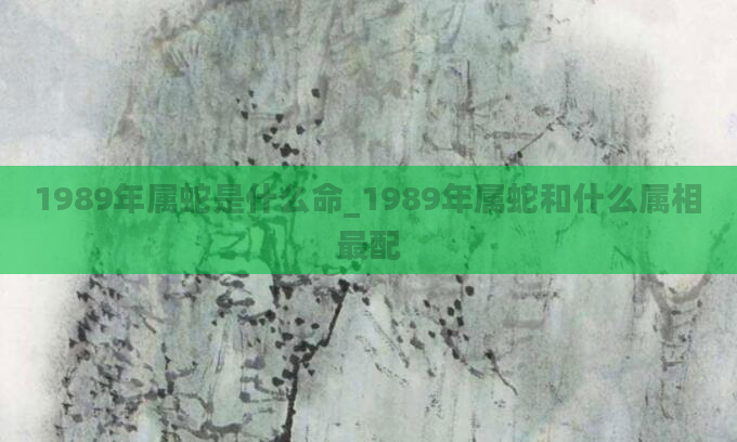 1989年属蛇是什么命_1989年属蛇和什么属相最配