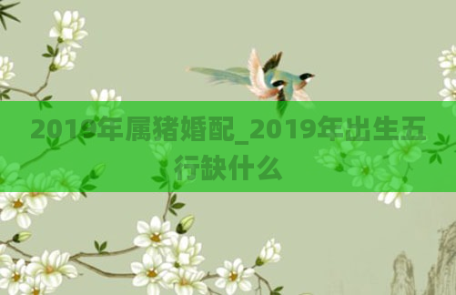 2019年属猪婚配_2019年出生五行缺什么