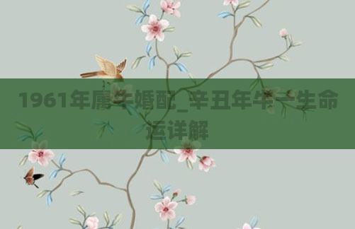 1961年属牛婚配_辛丑年牛一生命运详解