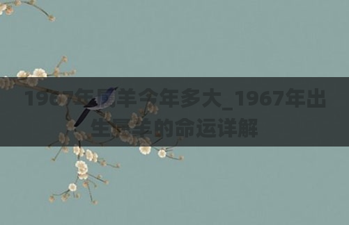 1967年属羊今年多大_1967年出生属羊的命运详解