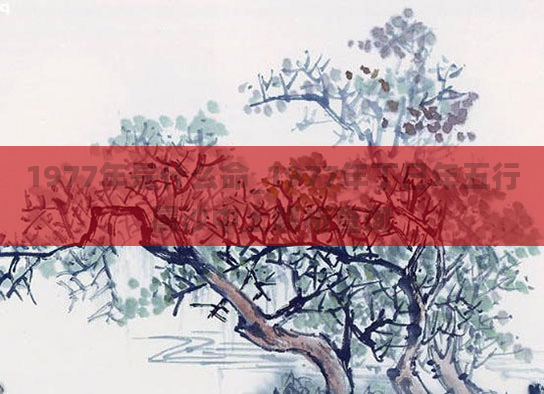 1977年是什么命_1977年丁巳年五行属沙中土解析查询