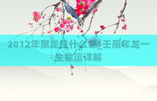 2012年属龙是什么命_壬辰年龙一生命运详解