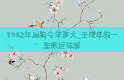 1982年属狗今年多大_壬戌年狗一生命运详解