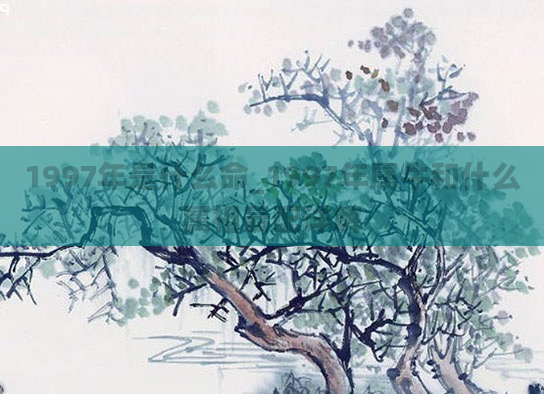 1997年是什么命_1997年属牛和什么属相最配详解